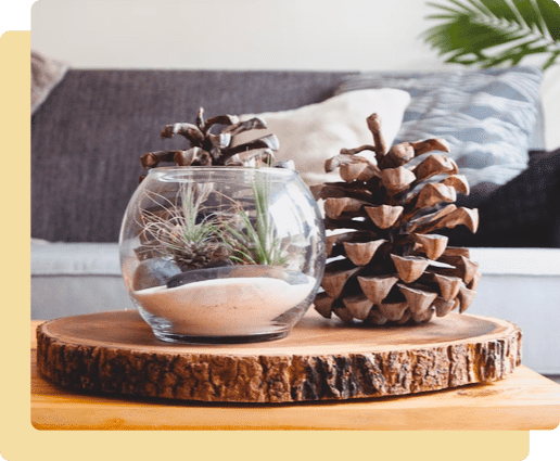 Table Decoration with Pinecones — Professional Builders in Brisbane, QLD